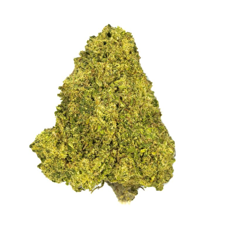 Close-up of cannabis bud isolated on white.