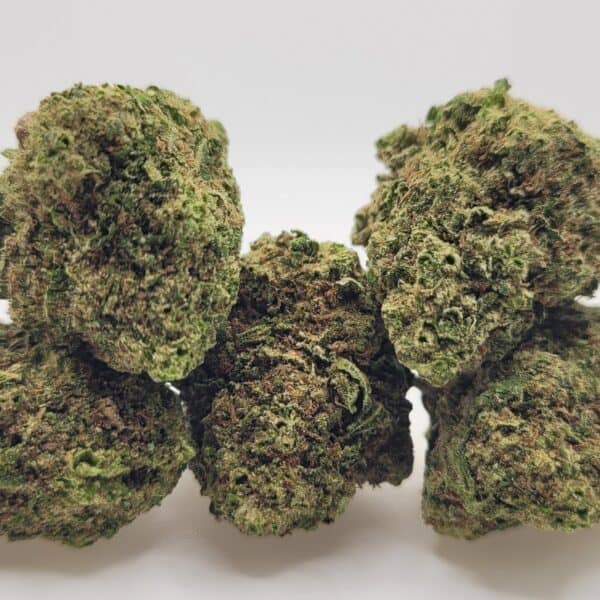 Congo Certz flower