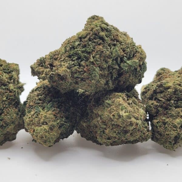 GMO flower