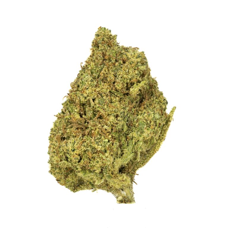 Close-up of cannabis bud isolated on white.