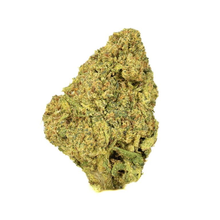 Close-up of cannabis bud on white background