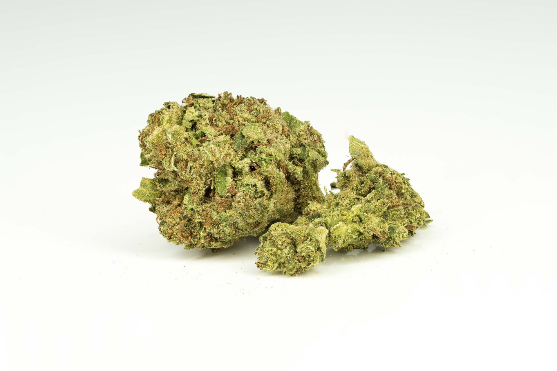 Dry cannabis buds on white background.