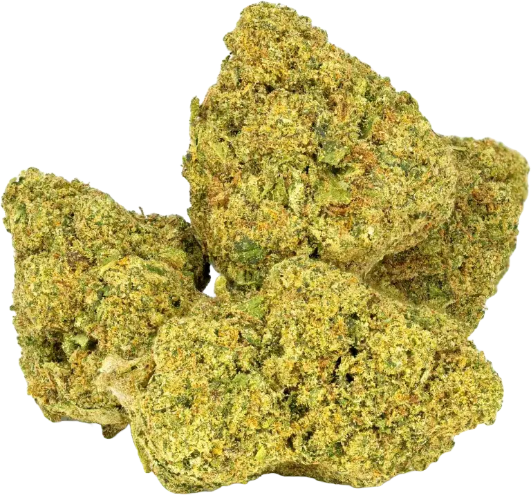 Dry cannabis buds isolated on background