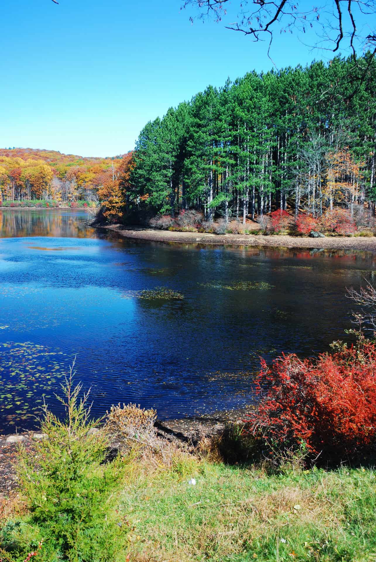 Lab-tested THCa flower shipped to New Jersey. Autumn Mountain with lake view and colorful foliage in forest.