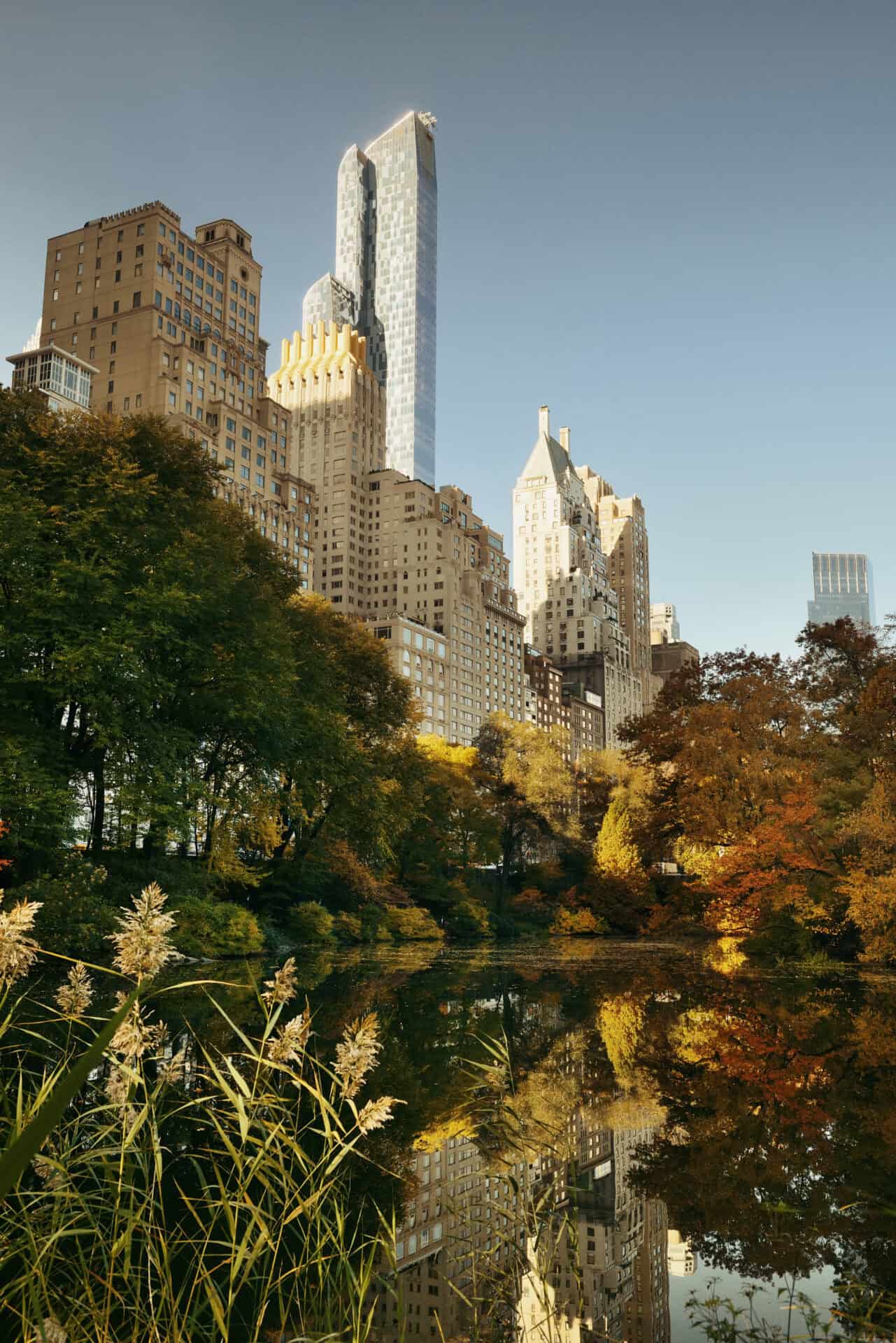 Lab-tested THCa flower shipped to New York. Central Park with morning bright sunlight and urban skyscrapers in Autumn in New York City.