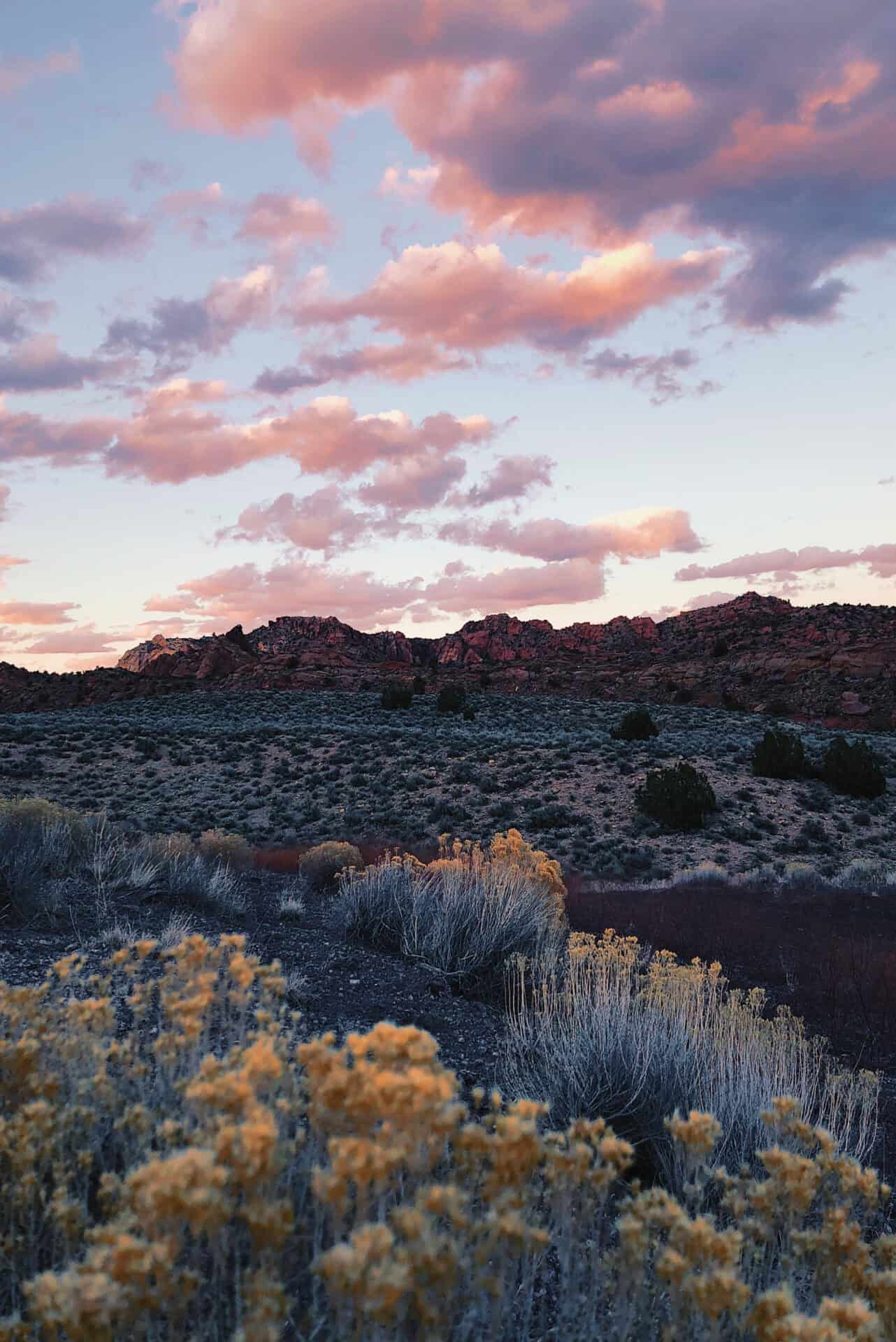 Lab-tested THCa flower shipped to New Mexico. Scenic view of field against sky during sunset