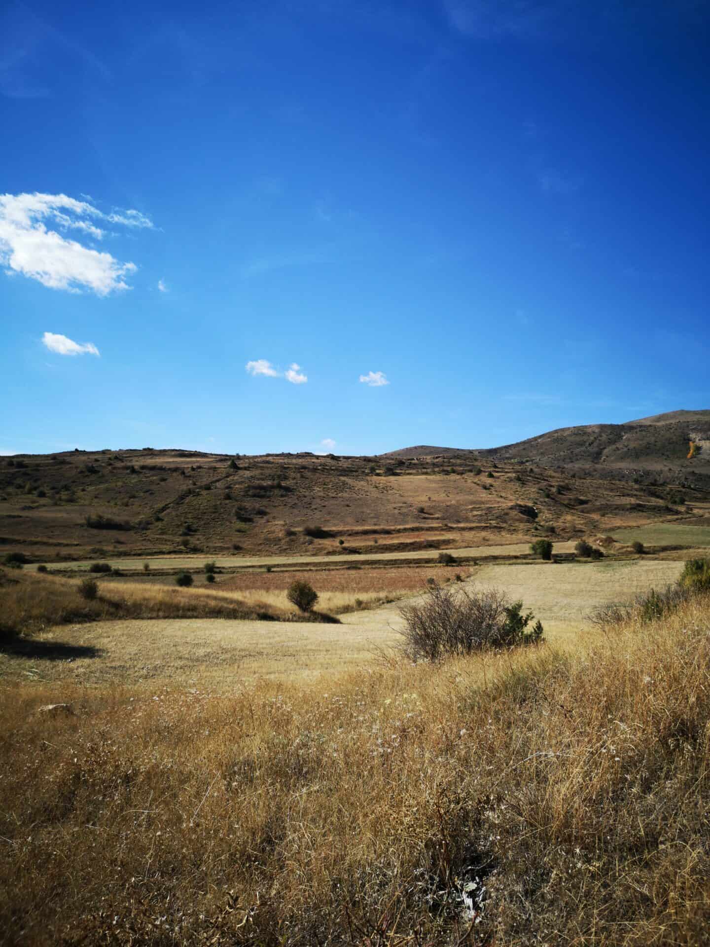 Lab-tested THCa flower shipped to Oklahoma. Scenic view of landscape against sky