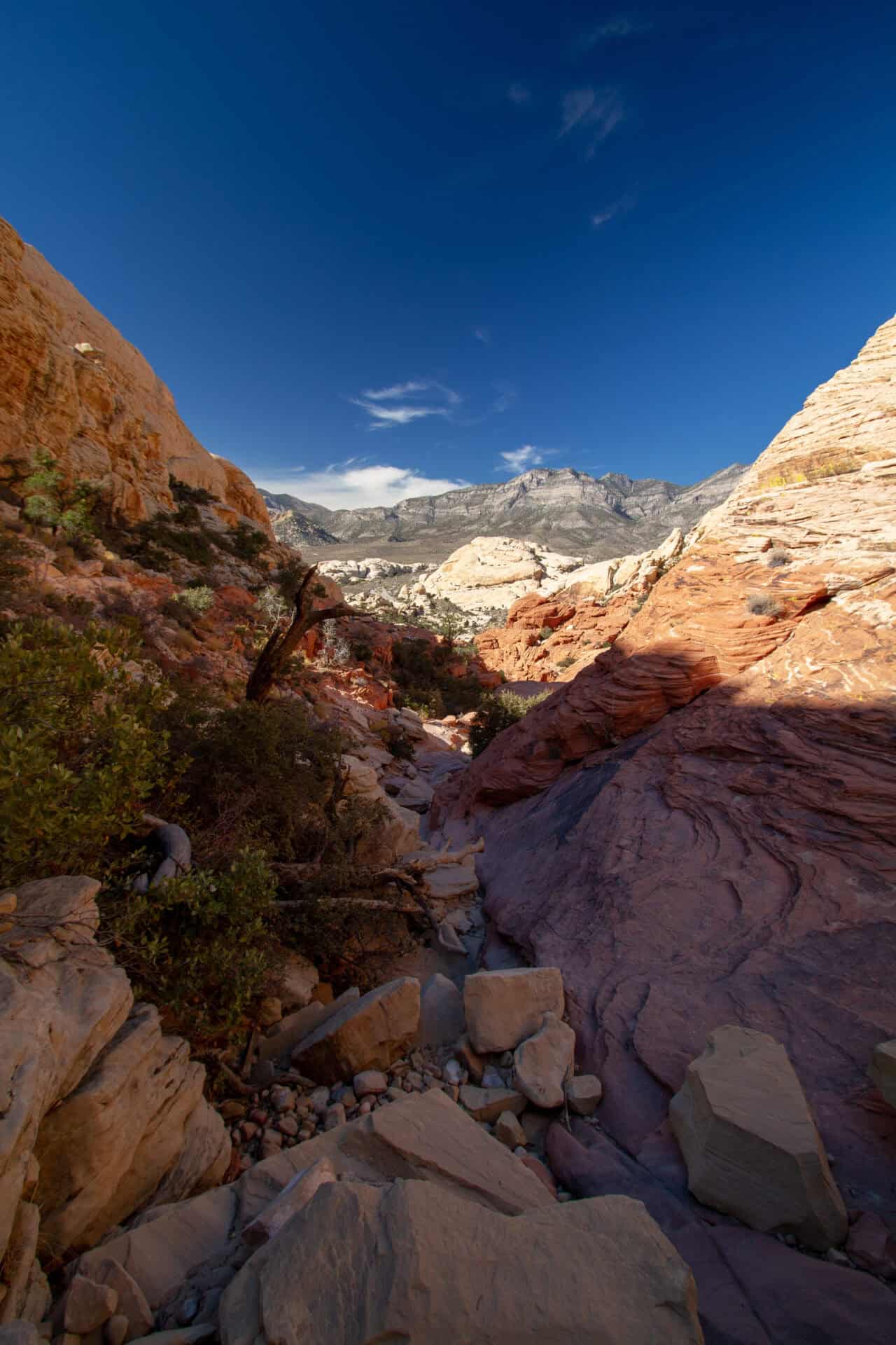 Lab-tested THCa flower shipped to Nevada. scenic-view-mountains-against-sky-red-rock-canyon-nevada