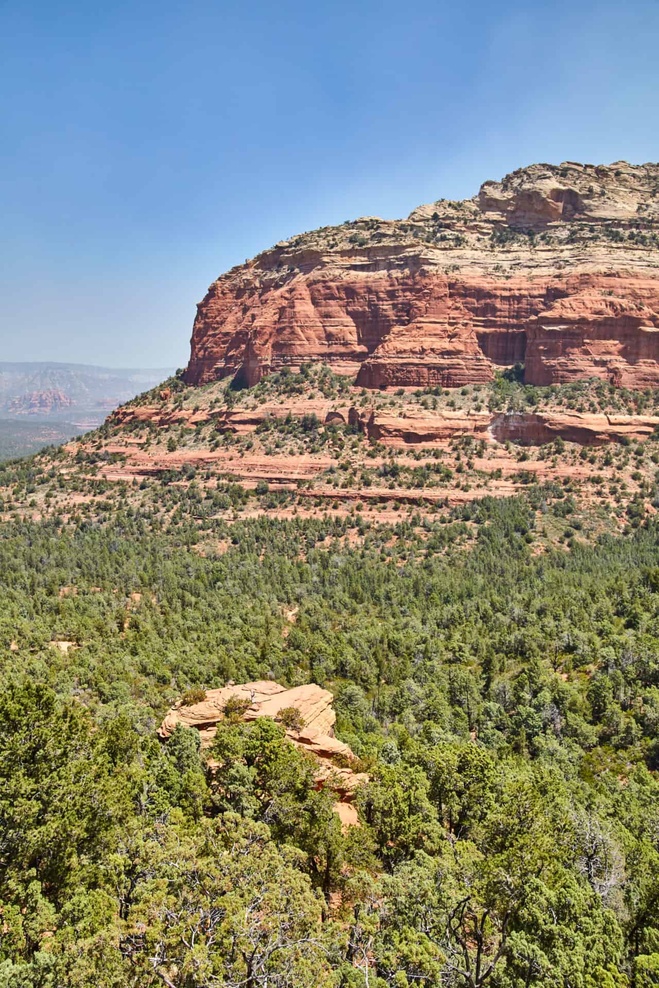 Lab-tested THCa flower shipped to Arizona.sedona-red-rock-formation-lush-desert-flora-midday-perspective