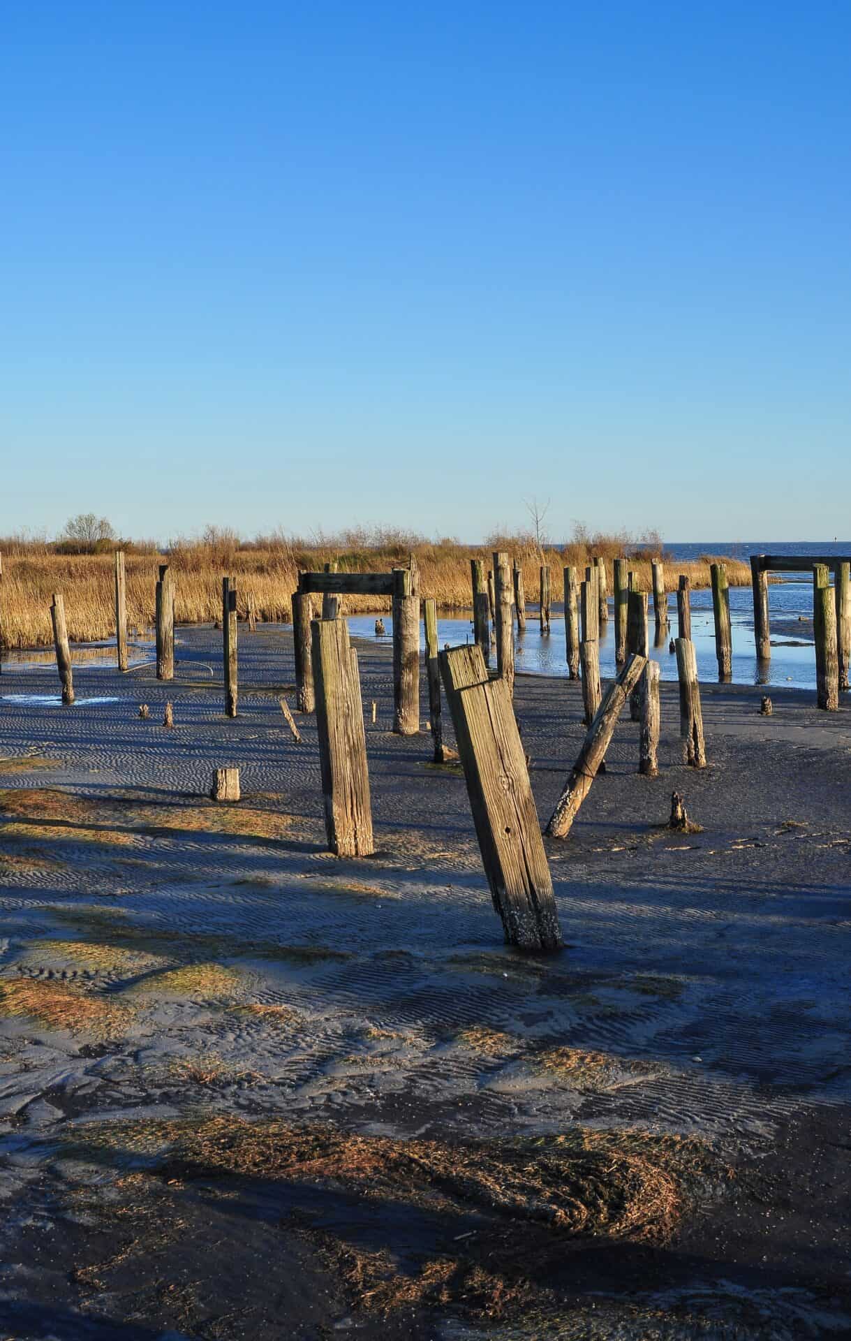 Lab-tested THCa flower shipped to Maryland. wooden-posts-beach-against-clear-blue-sky